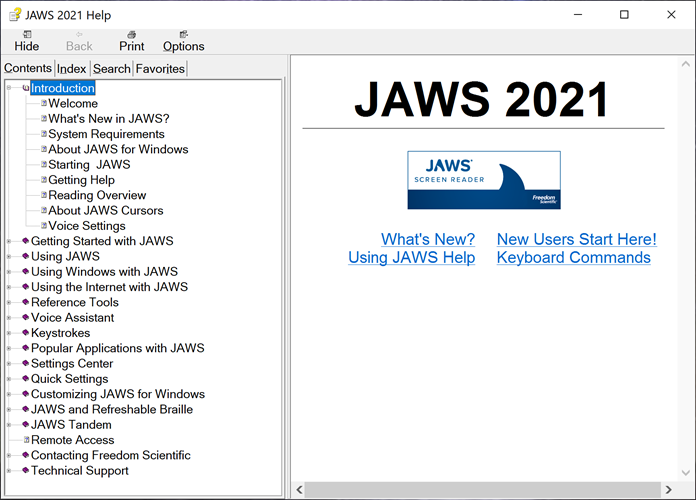 JAWS Help System window